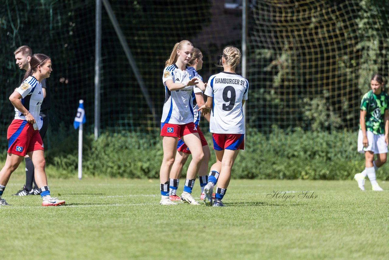 Bild 209 - wBJ Hamburger SV - VfL Wolfsburg : Ergebnis: 5:1